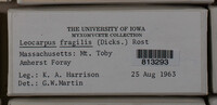 Image Associated With the Occurence